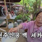 전원주 유튜브 채널 전원주인공 재정비 관련 이미지