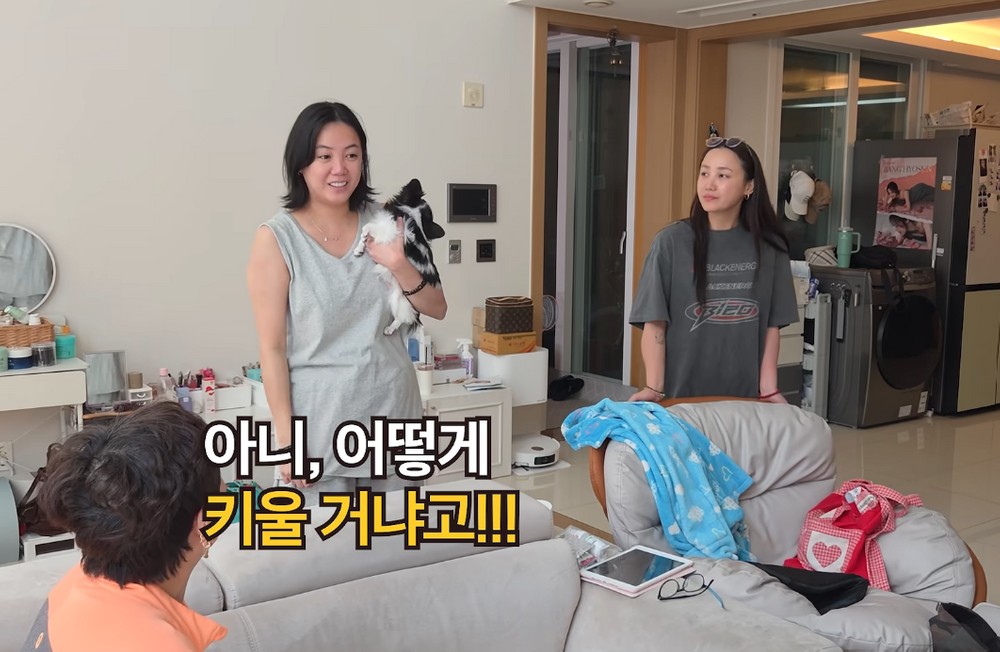 고은아가 출연한 신빨토크쇼 귀묘한 이야기2 관련 이미지